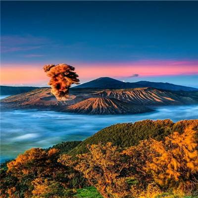 领航新质——李振宇荣膺CAIMRS年...